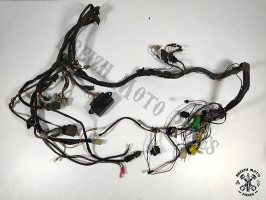 Faisceau électrique
