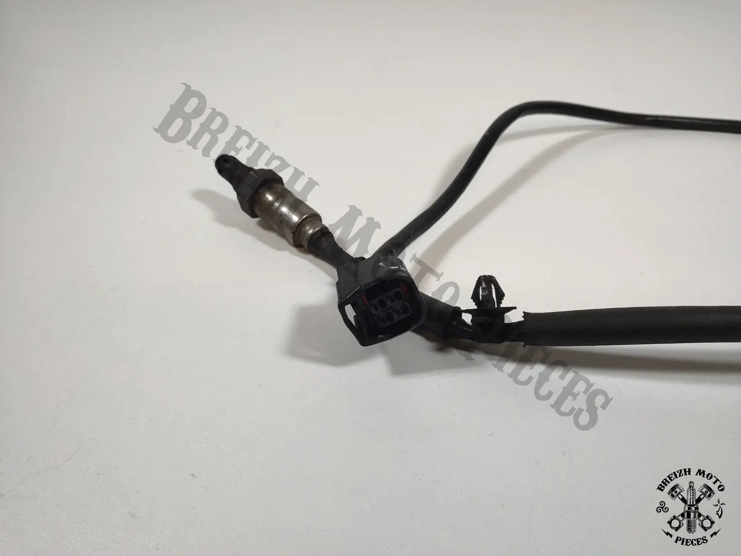 Sonde lambda