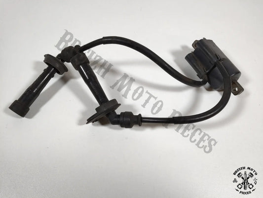 Bobine allumage cylindres 2/3