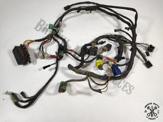 Faisceau électrique