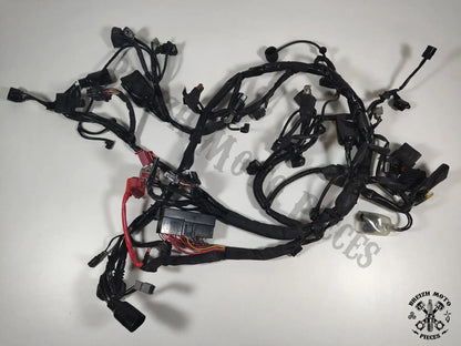 Faisceau électrique