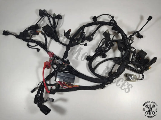Faisceau électrique