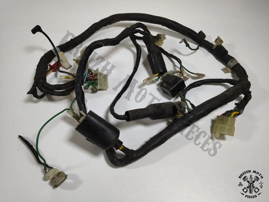 Faisceau électrique