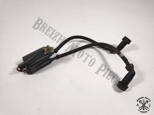 Bobine allumage cylindres 2/3