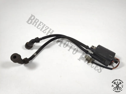 Bobine allumage cylindres 2/3