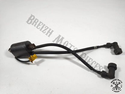 Bobine allumage cylindres 1/4