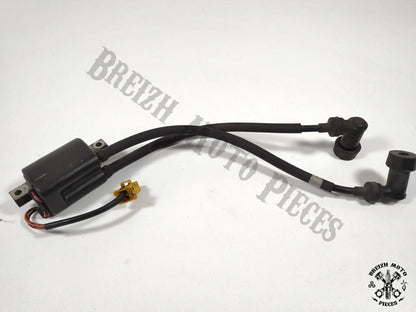 Bobine allumage cylindres 1/4