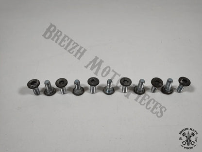 Vis disques de frein