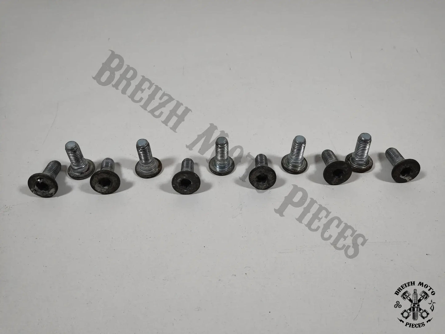 Vis disques de frein