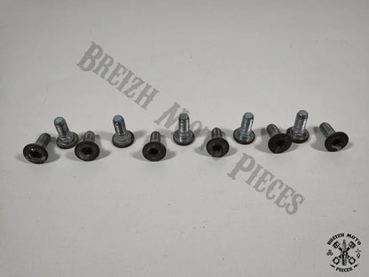 Vis disques de frein