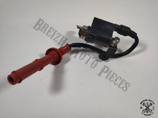 Bobine allumage cylindre 1