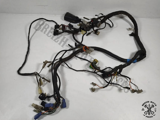 Faisceau électrique