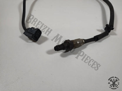 Sonde lambda