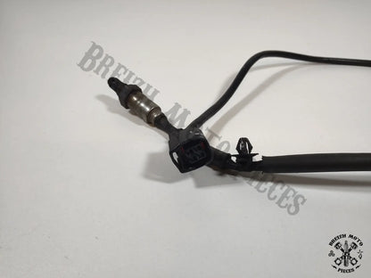 Sonde lambda