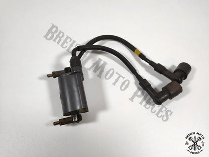 Bobine allumage cylindres 2/3