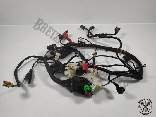 Faisceau électrique