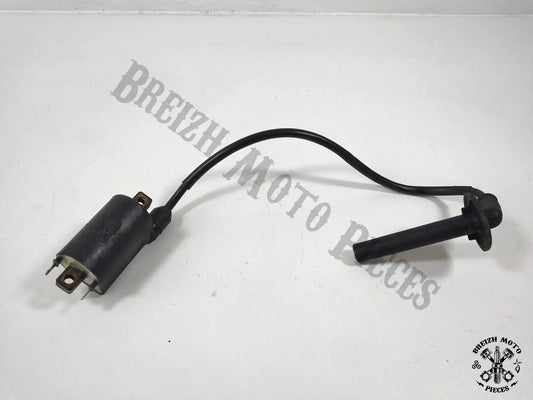 Bobine allumage cylindre 4