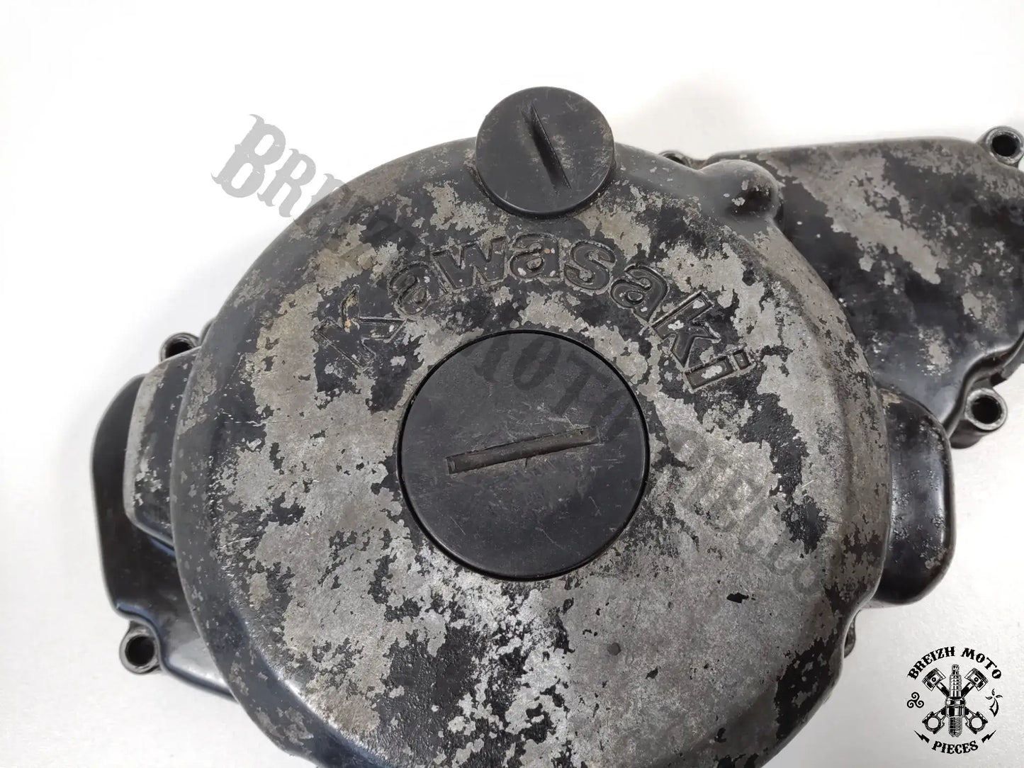 Carter d'alternateur