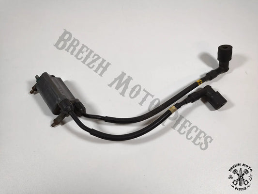 Bobine allumage cylindres 1/4