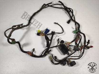 Faisceau électrique