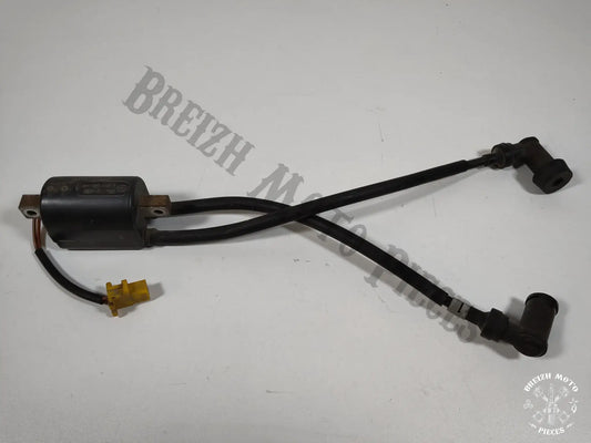 Bobine d'allumage cylindre 1 et 4