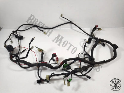 Faisceau électrique